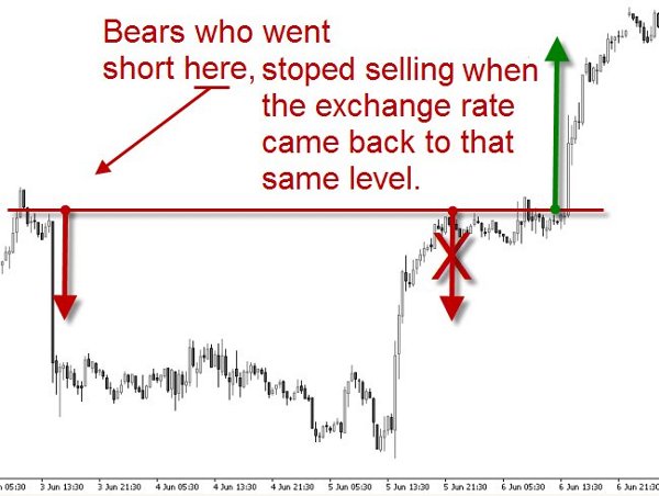 buyers
