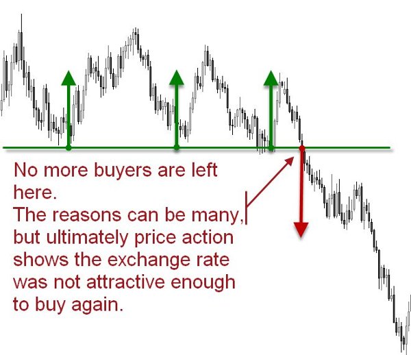 buyers