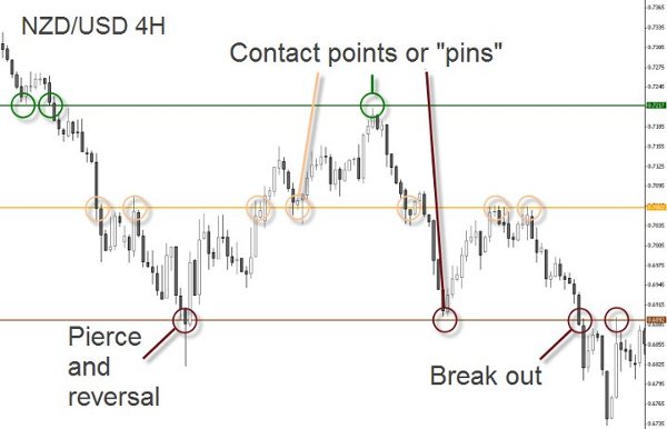nzd_usd