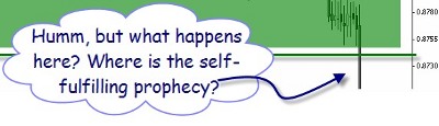 self-sulilling